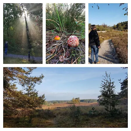 Elisa Zuid Limburg Casa vacanze *