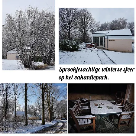 Elisa Zuid Limburg *