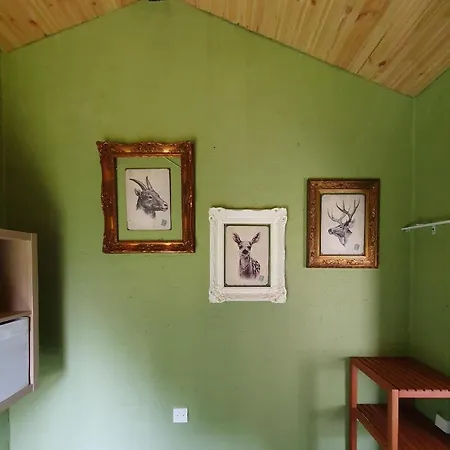 Elisa Zuid Limburg *