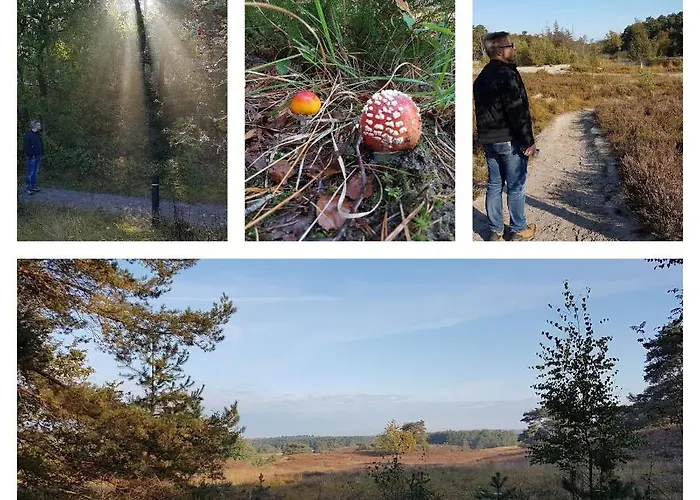 Elisa Zuid Limburg Holiday home *