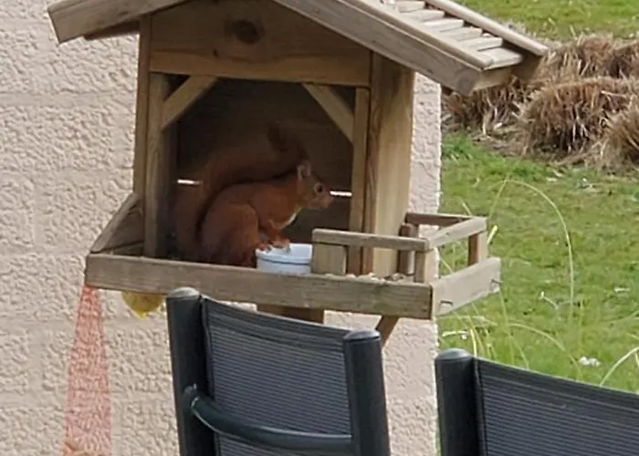 Elisa Zuid Limburg * Simpelveld