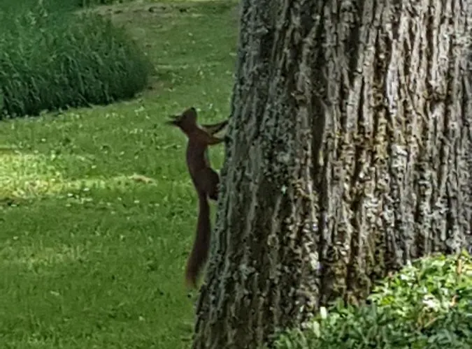 Elisa Zuid Limburg * Simpelveld