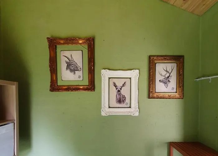 Elisa Zuid Limburg *