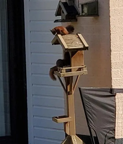 Elisa Zuid Limburg *