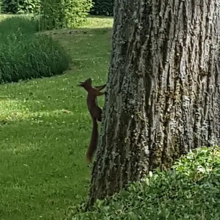 Elisa Zuid Limburg * Simpelveld