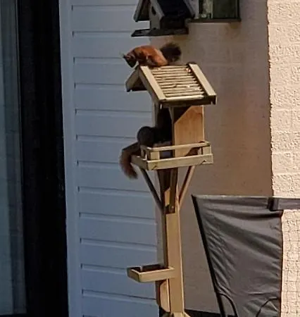 Elisa Zuid Limburg *